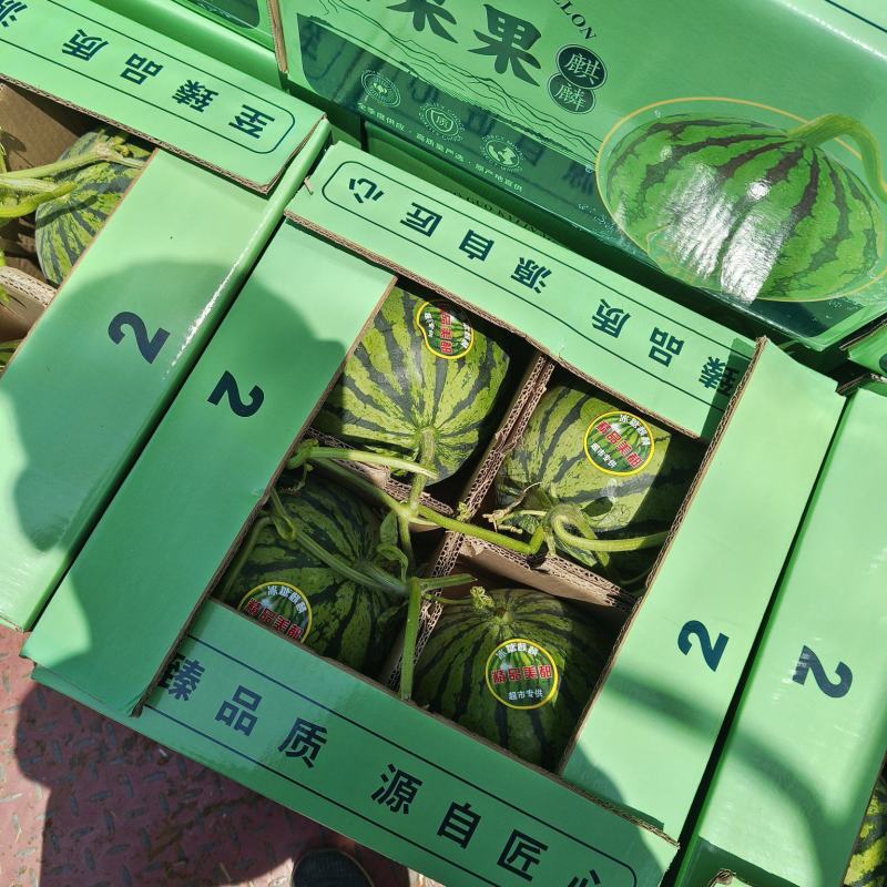 夏邑美都西瓜包熟包甜无籽，诚信经营质量保障等您来电