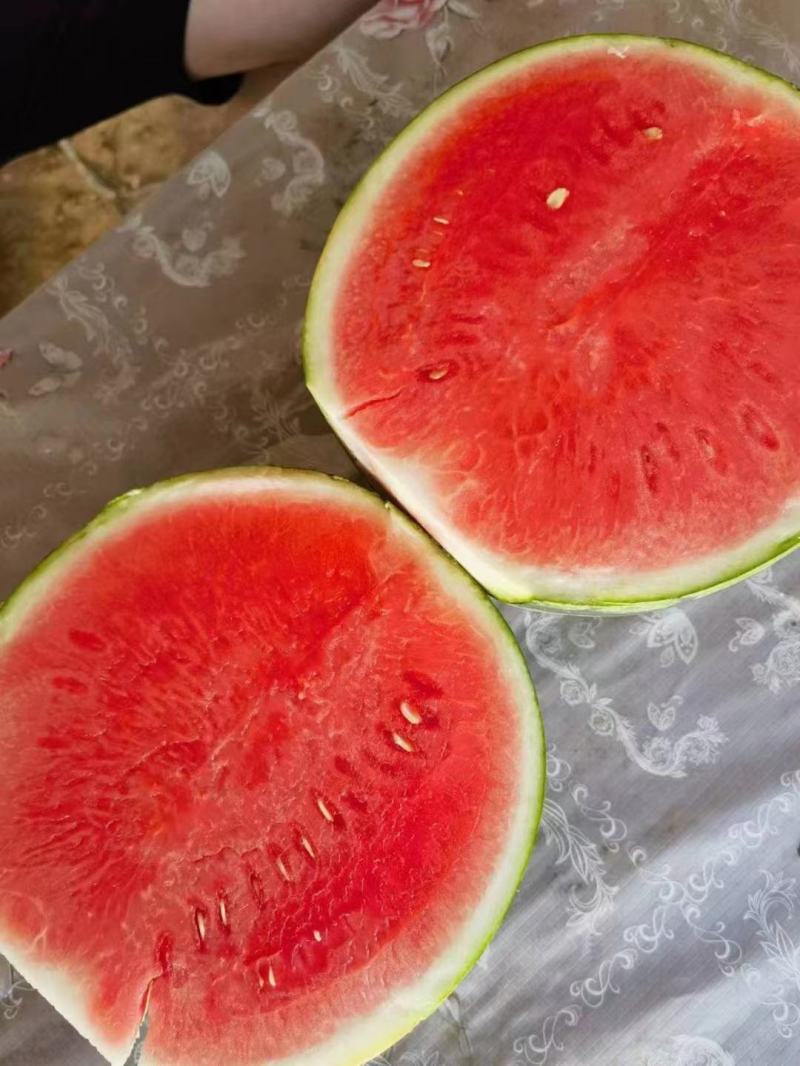 《热卖中》甜王西瓜大荔产地供甜度高口感好品质严控可视频