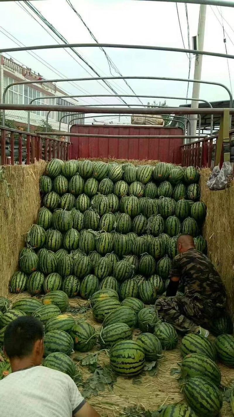 《热卖中》甜王西瓜大荔产地供甜度高口感好品质严控可视频