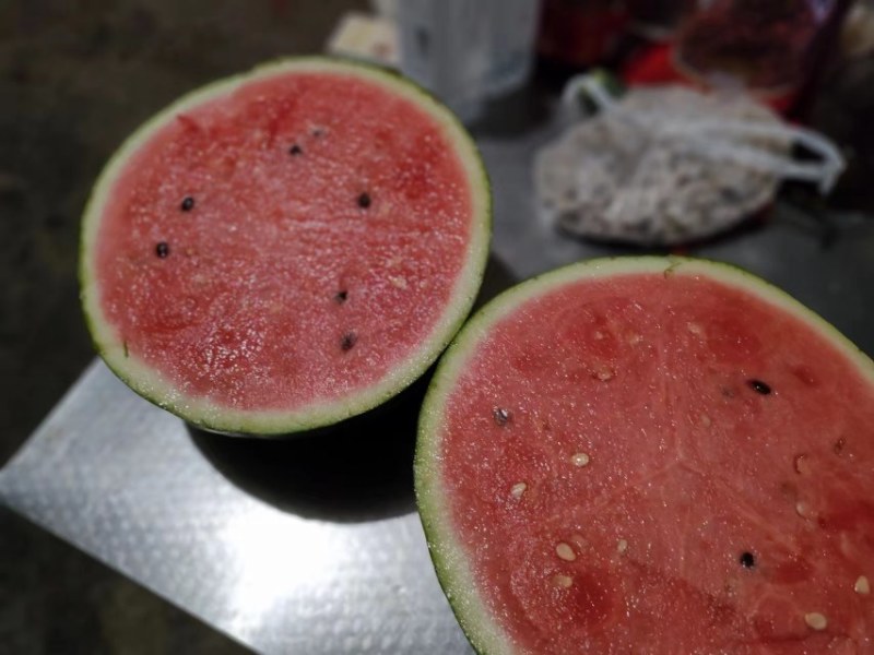 河南美都麒麟西瓜，皮薄肉厚糖度好，现货供应全国供应