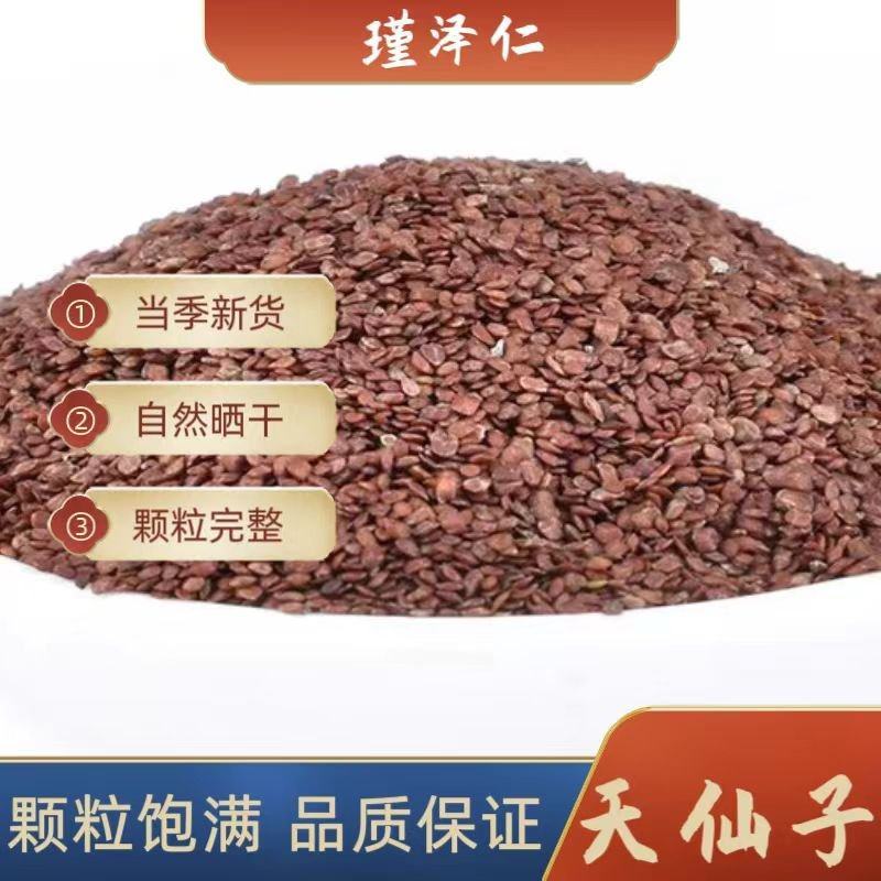 老店信誉产品天仙子南天仙籽莨菪子实新货无硫规格齐全