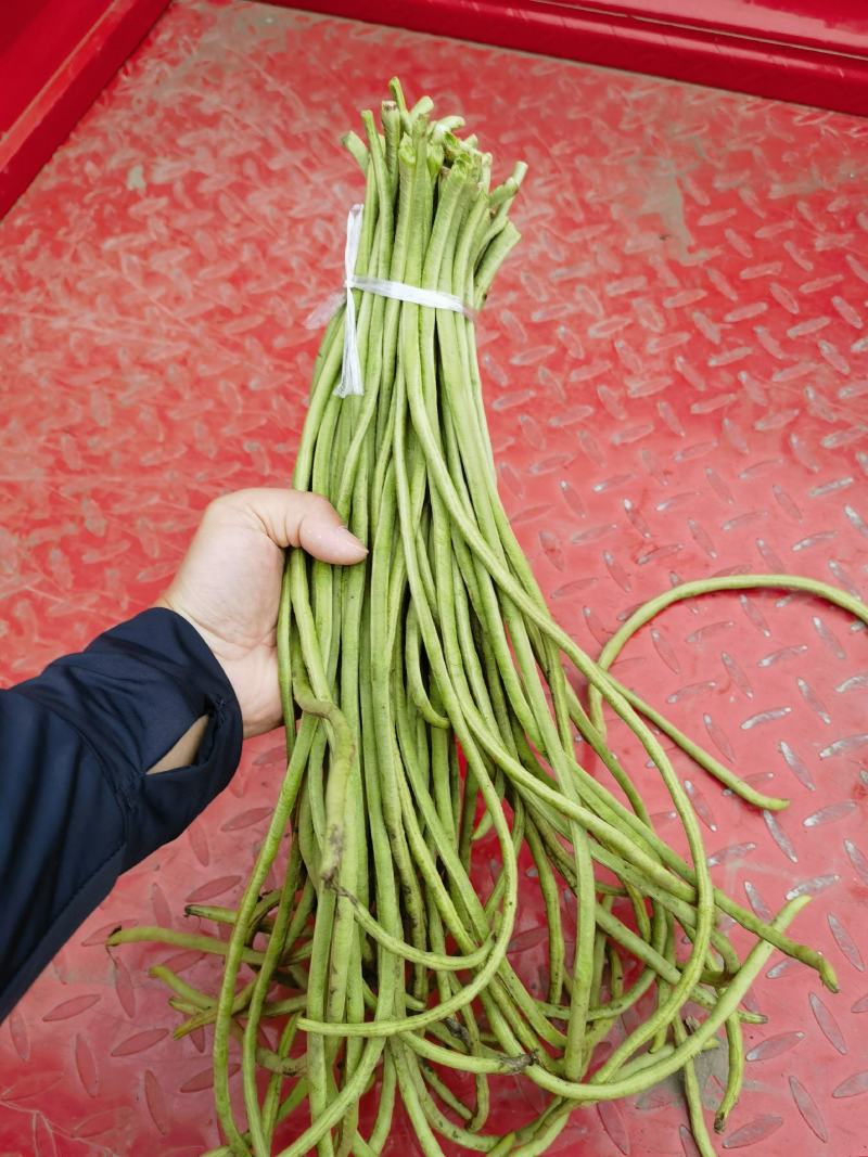 新鲜豇豆盐焗货