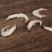 【新货淡干虾皮】新货上市特级虾皮无盐淡干虾皮宝宝辅食