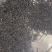 红茶金骏眉