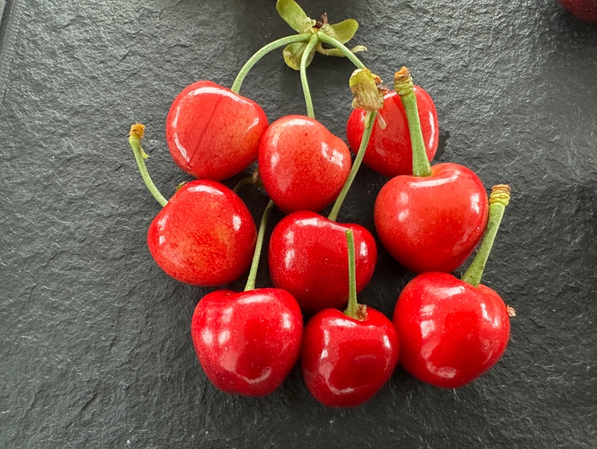 三组不同等级的美早樱桃并列摆放,分别标注特级、一级、二级字样,展示颜色、大小差异 美早樱桃等级对比图