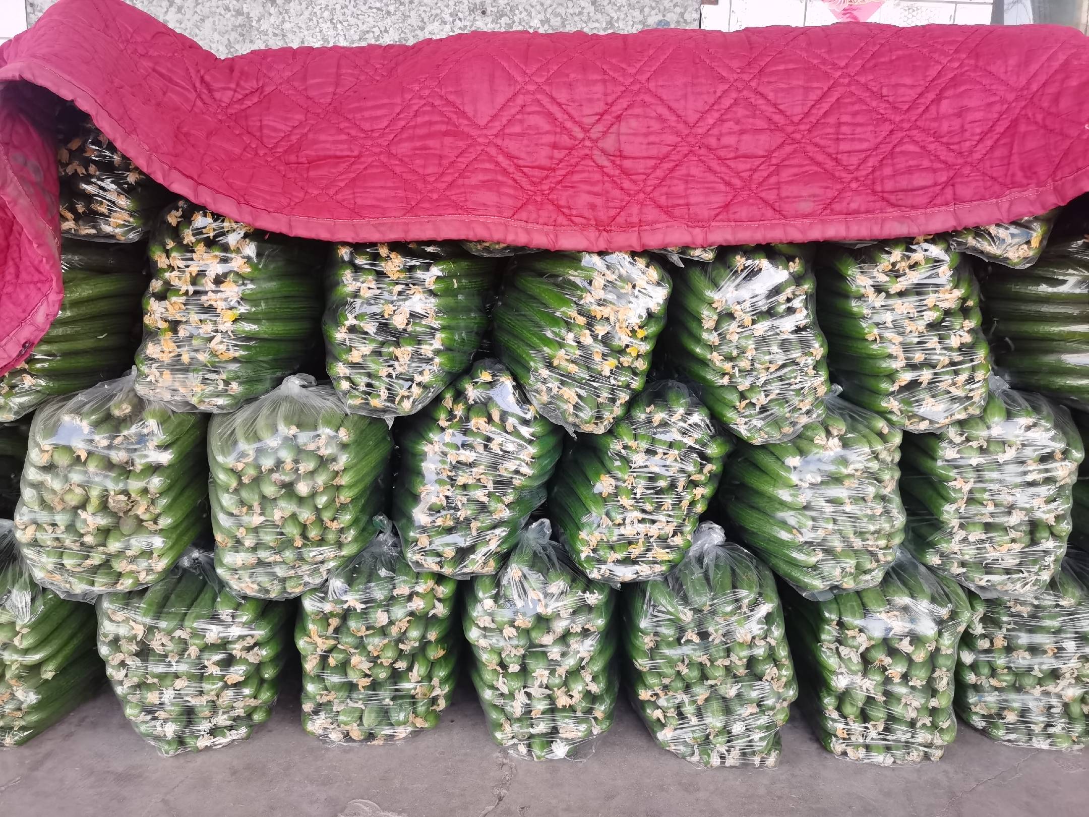 黄瓜与西红柿拼盘,摆盘精美,颜色清新 黄瓜与西红柿拼盘