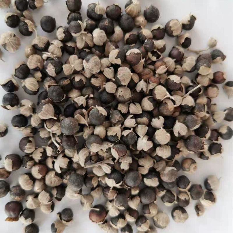 蔓荆子500g别名江西蔓荆实万荆子蔓青子袋装药房正品中药