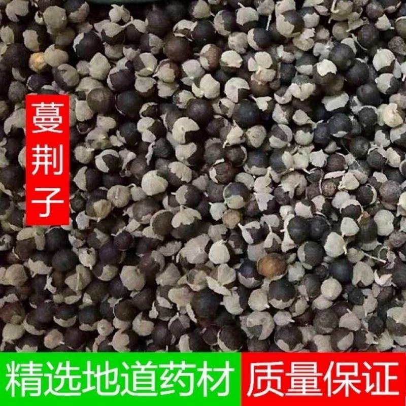 蔓荆子500g别名江西蔓荆实万荆子蔓青子袋装药房正品中药