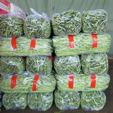架豆王
