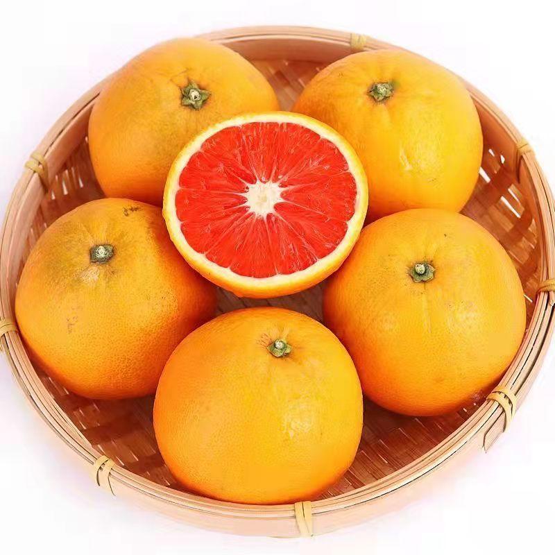 [强烈推荐]秭归中华红橙血橙脐橙保质欢迎来电采购