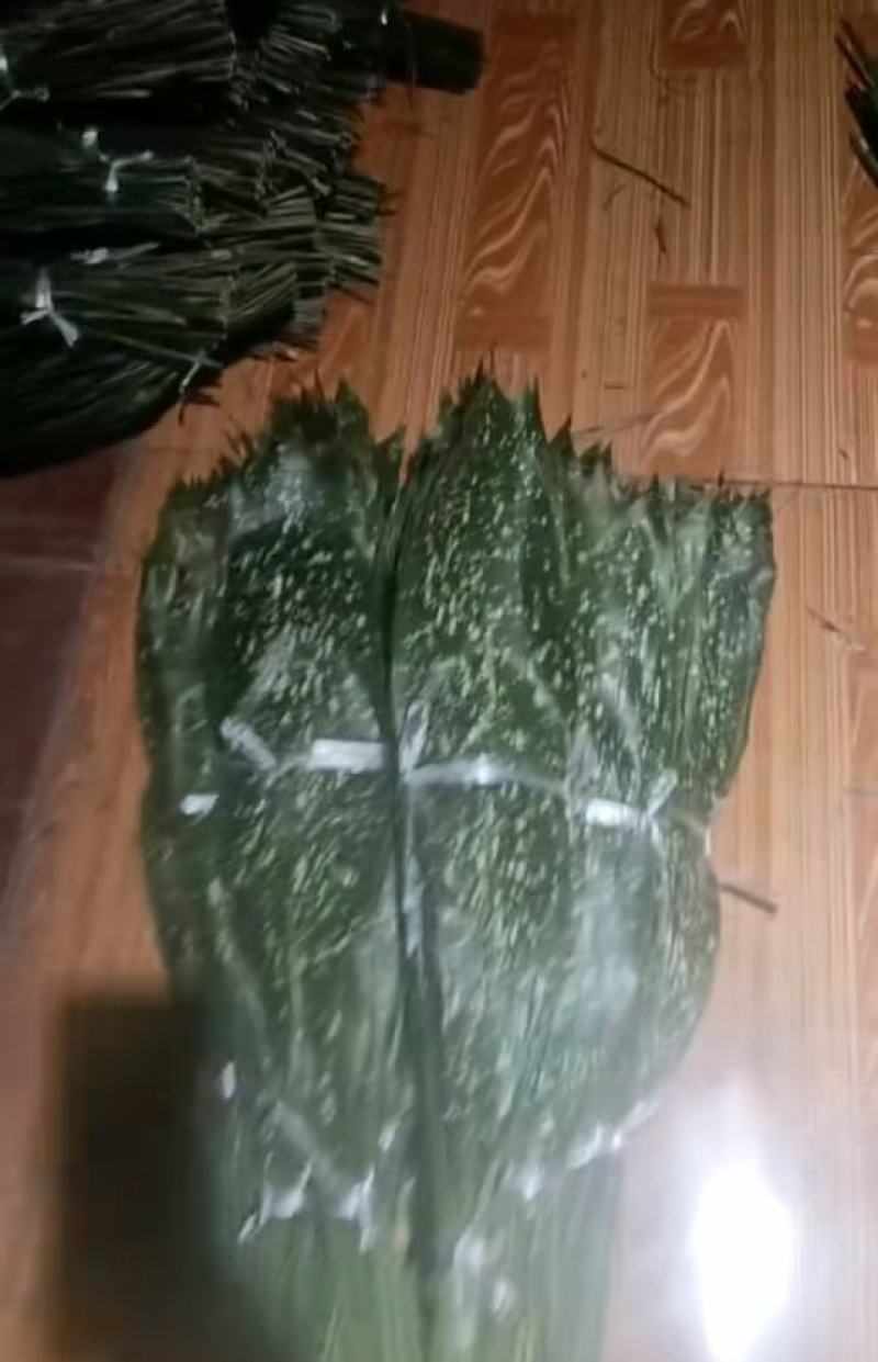 云南粽叶
