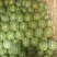 【实力推荐】湖北本地精品美都西瓜大量供应视频看货价格详谈