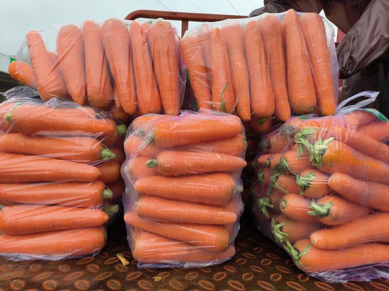 胡萝卜大量供应，冷库储存，可根据客户要求加工水洗！
