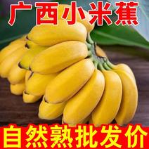小米蕉一件，社区团购，落地配，供应市场