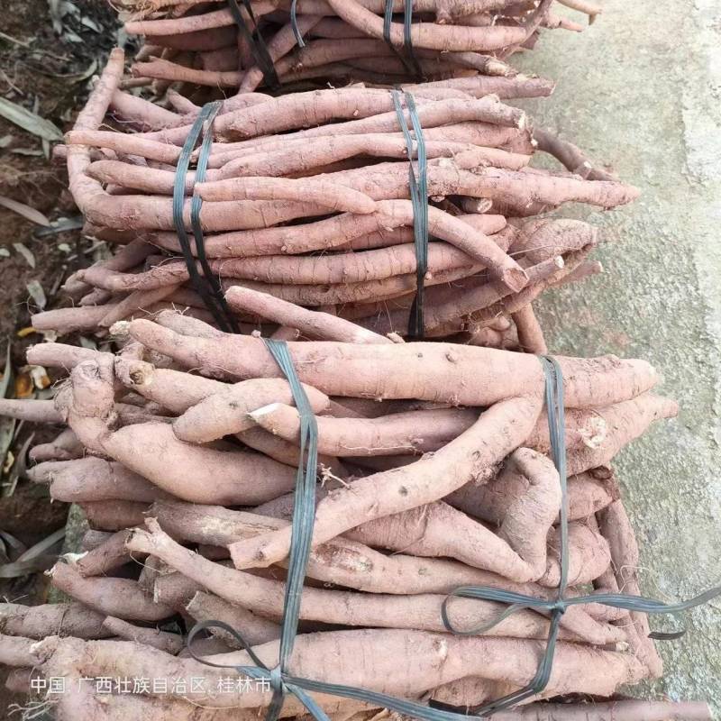 新鲜牛大力，小叶统货，小叶次牛，黄皮，煲汤泡酒口味甘甜