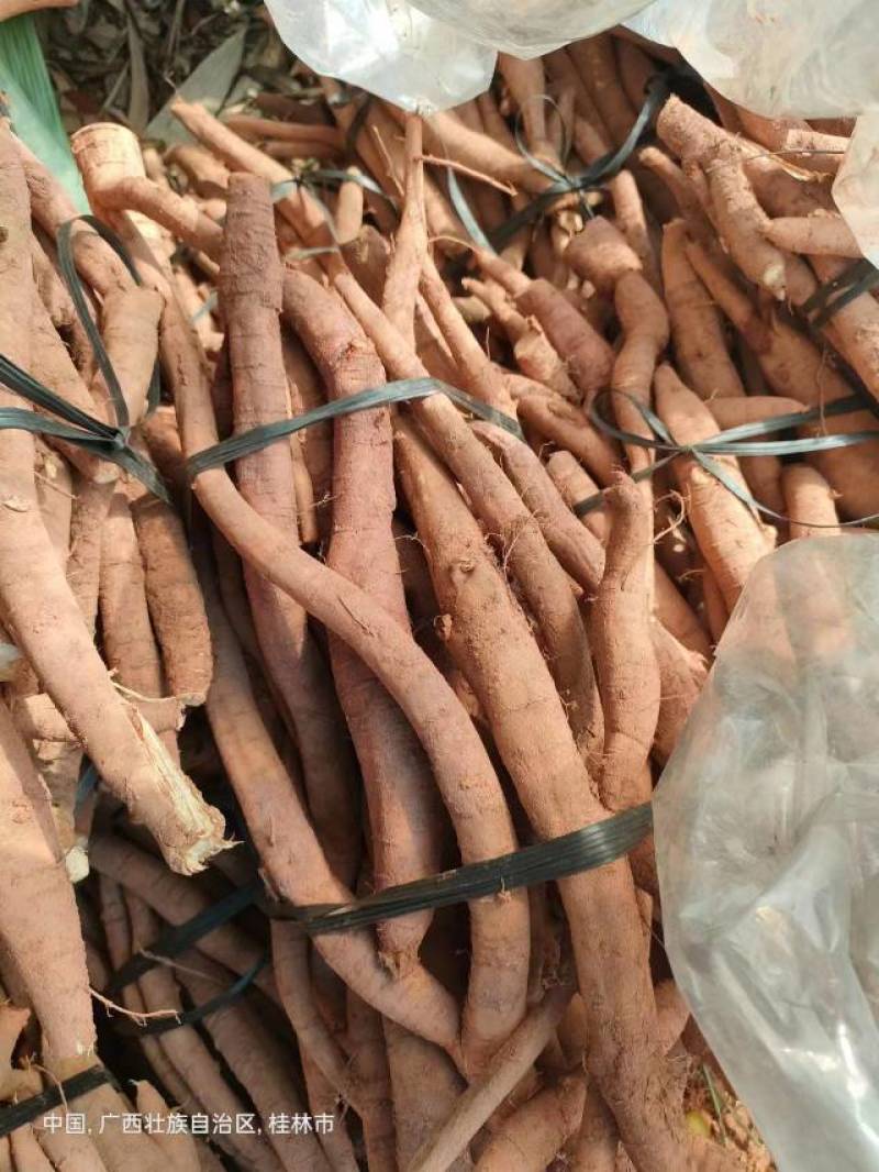 新鲜牛大力，小叶统货，小叶次牛，黄皮，煲汤泡酒口味甘甜