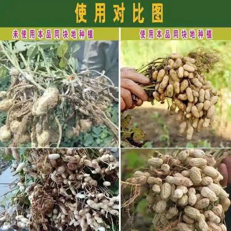 花生套餐花生三遍药花生高产套餐杀菌杀虫增产控旺防早衰白绢