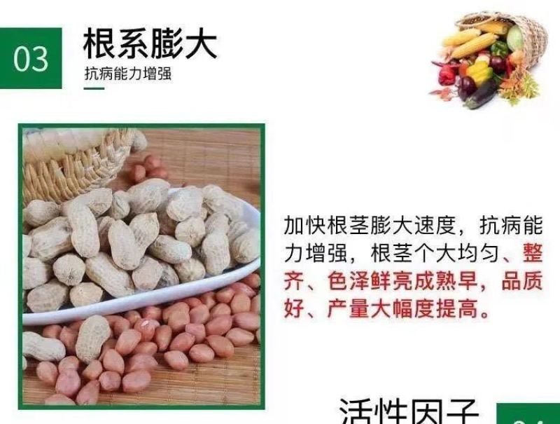 花生套餐花生三遍药花生高产套餐杀菌杀虫增产控旺防早衰白绢
