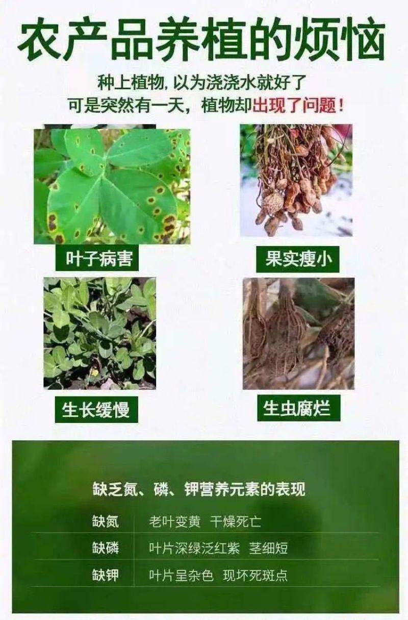 花生套餐花生三遍药花生高产套餐杀菌杀虫增产控旺防早衰白绢