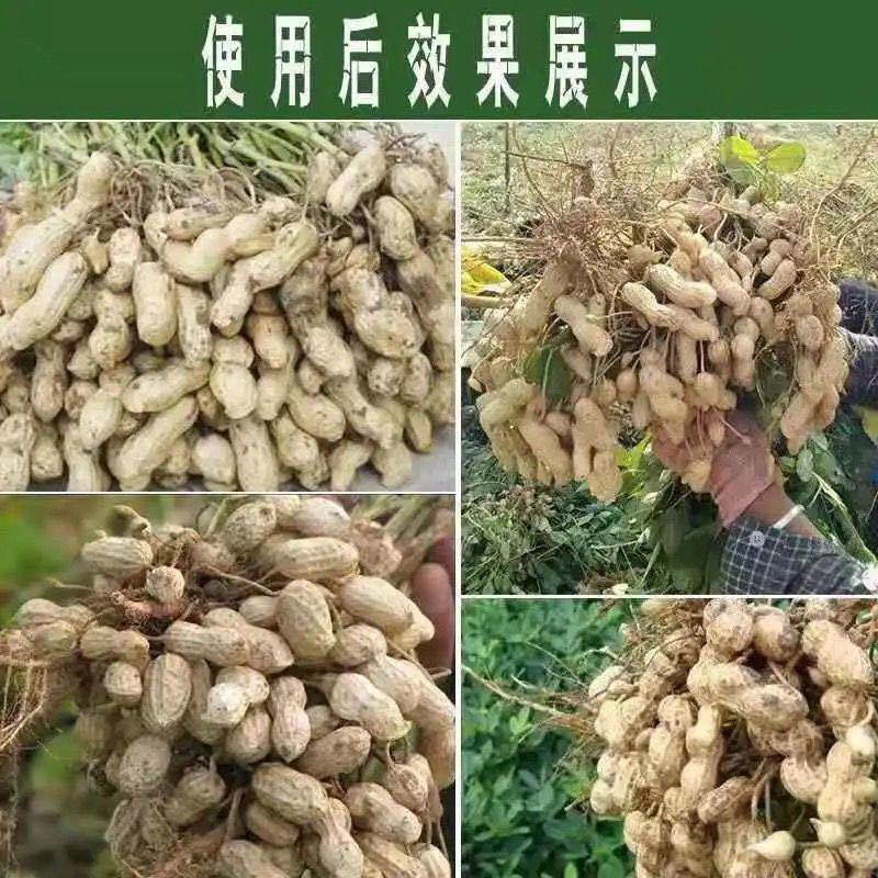 花生套餐花生三遍药花生高产套餐杀菌杀虫增产控旺防早衰白绢