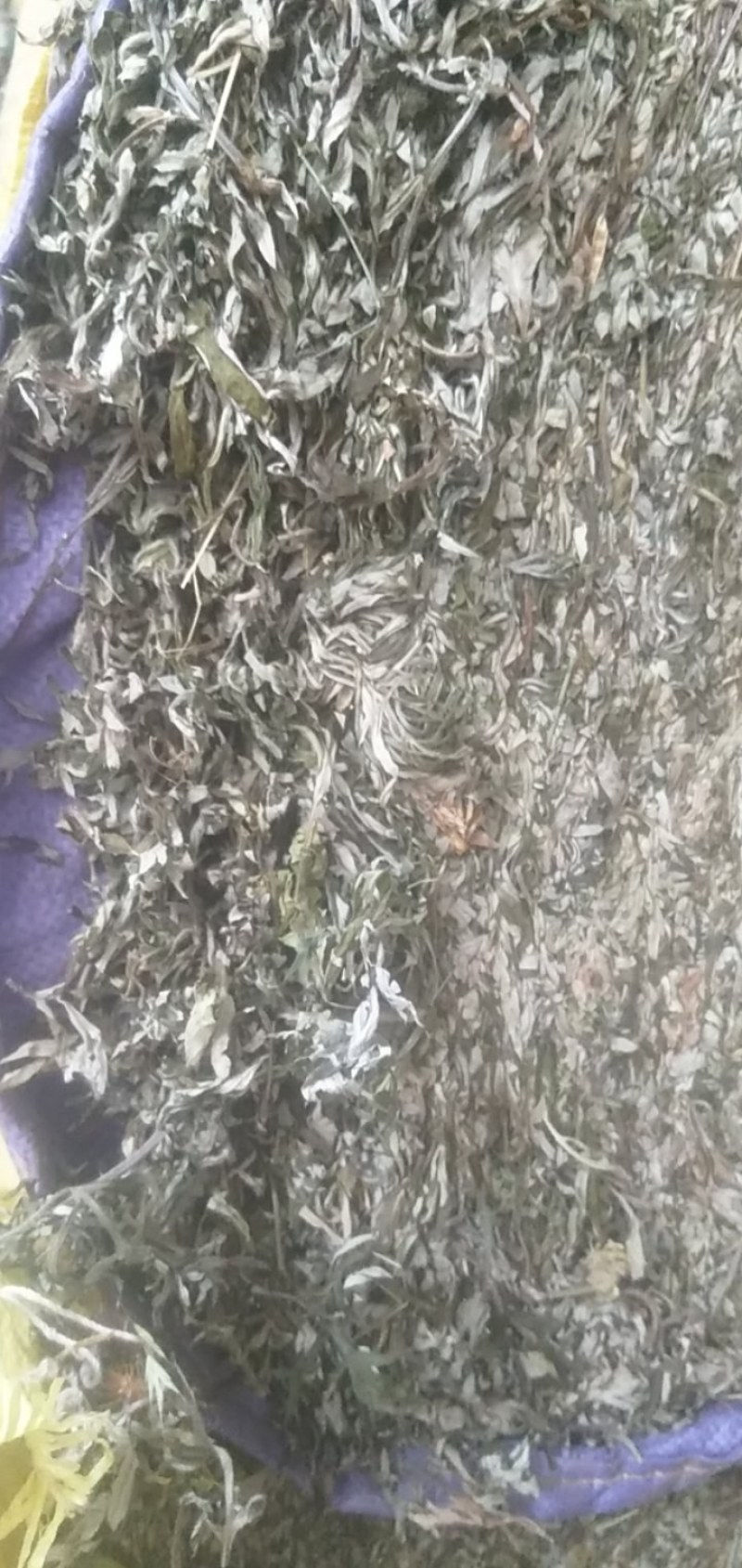 优质野生小艾叶，无杆，无杂。质量保证，价格实惠。