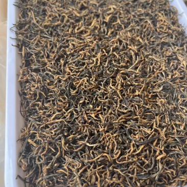 金骏眉红茶