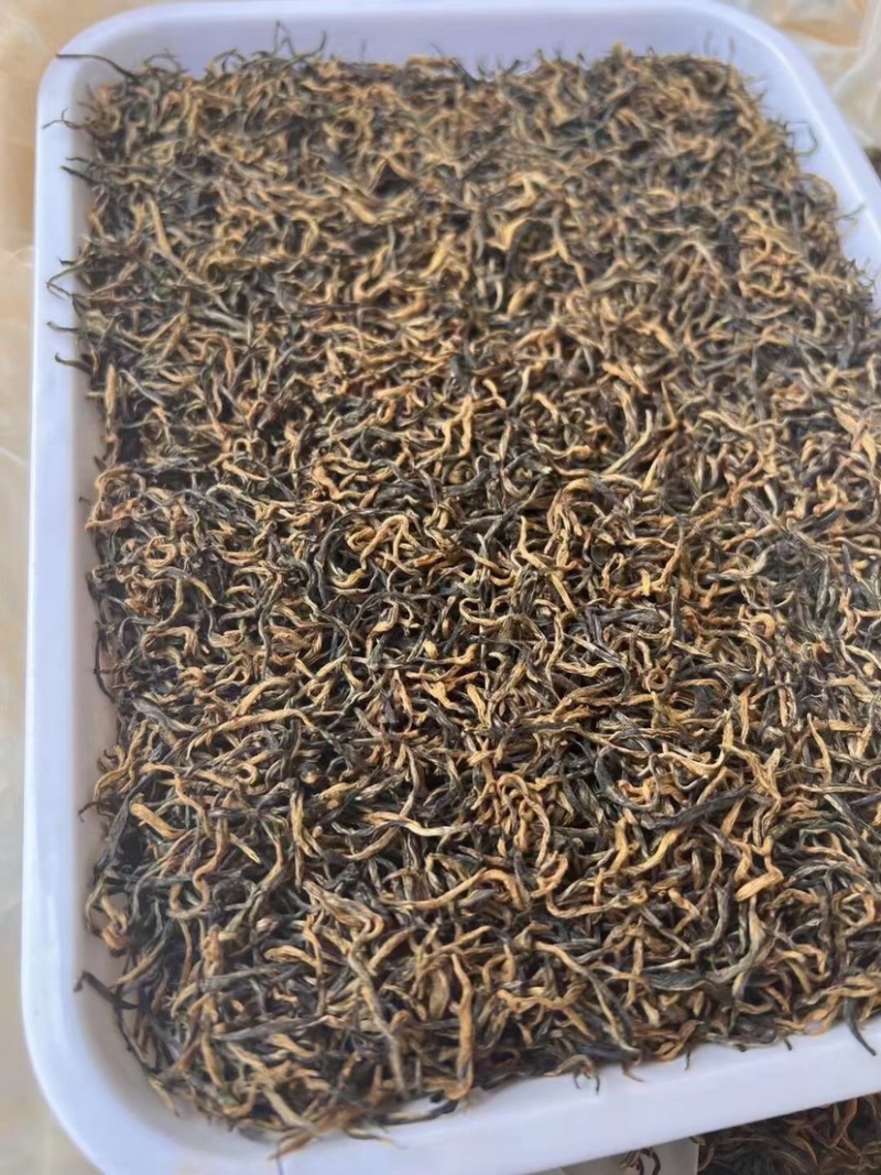 金骏眉红茶