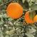 纽荷尔脐橙（产地直发）果面干净，规格齐全，量大从优