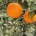 纽荷尔脐橙（产地直发）果面干净，规格齐全，量大从优