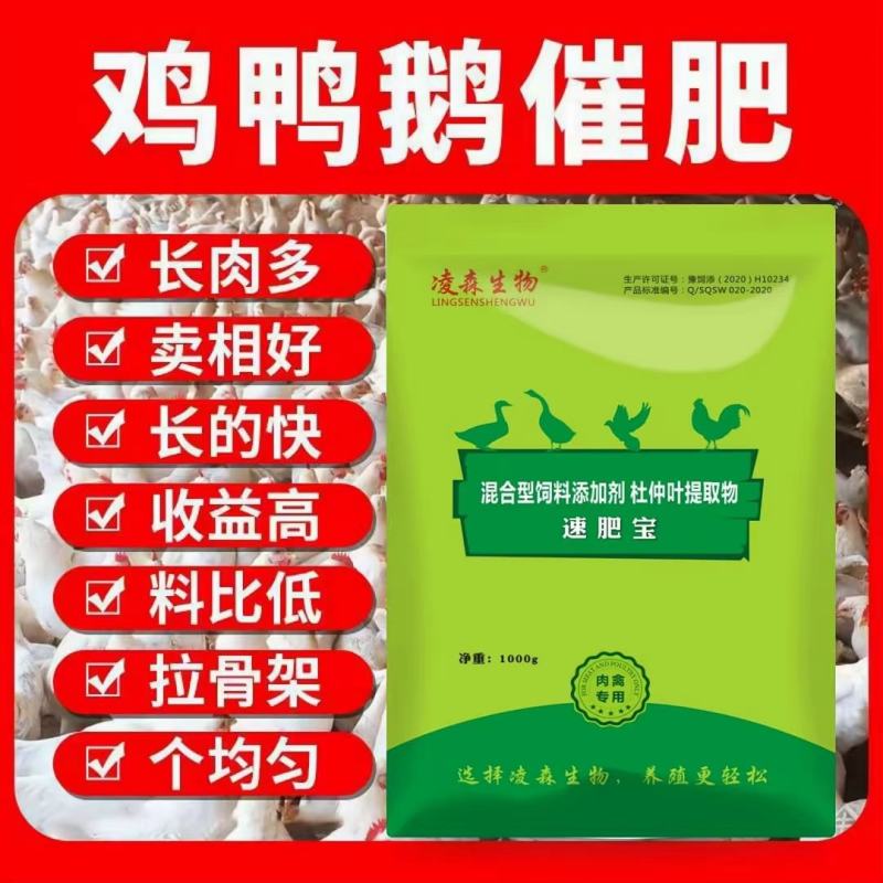 鸡预混料，球安颗粒，球虫克星，中药无抗产品4小时控制血便