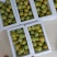贵州蜂糖李高端礼品水果批发零售