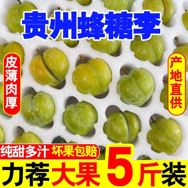 贵州蜂糖李高端礼品水果批发零售