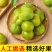 贵州蜂糖李高端礼品水果批发零售