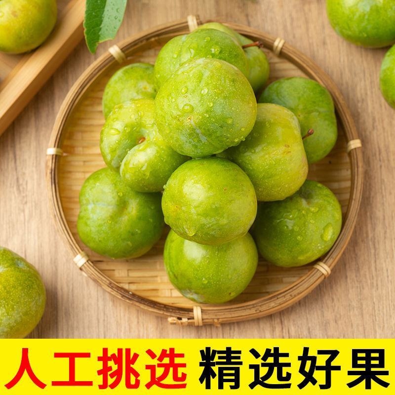 贵州蜂糖李高端礼品水果批发零售