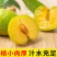 贵州蜂糖李高端礼品水果批发零售