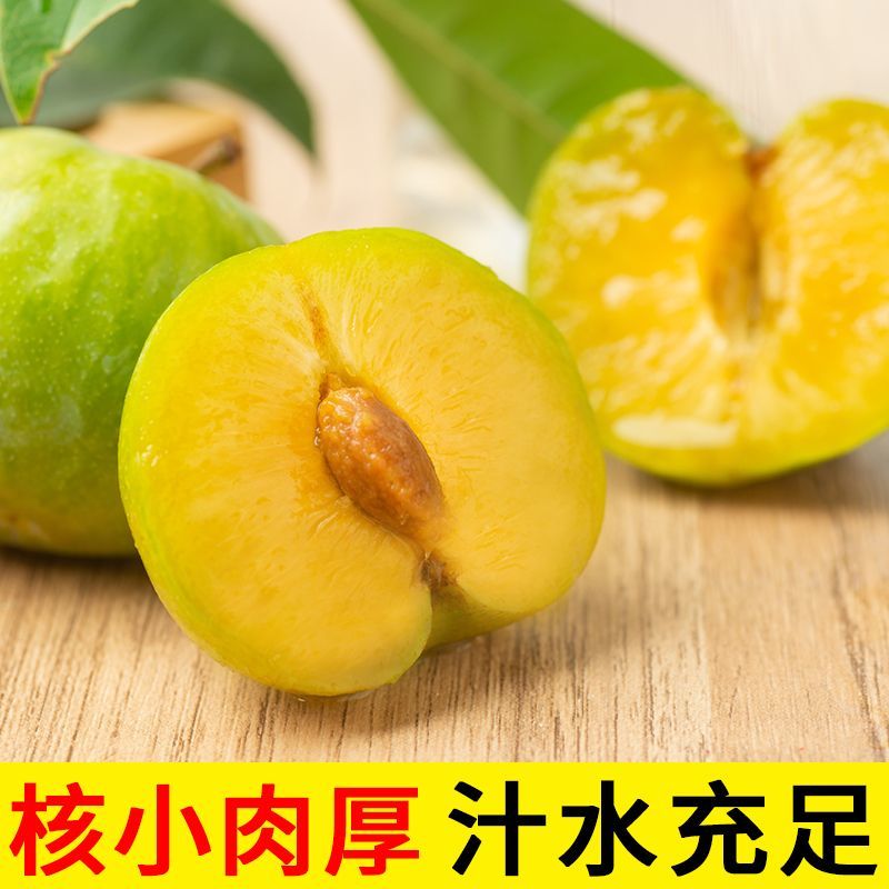 贵州蜂糖李高端礼品水果批发零售