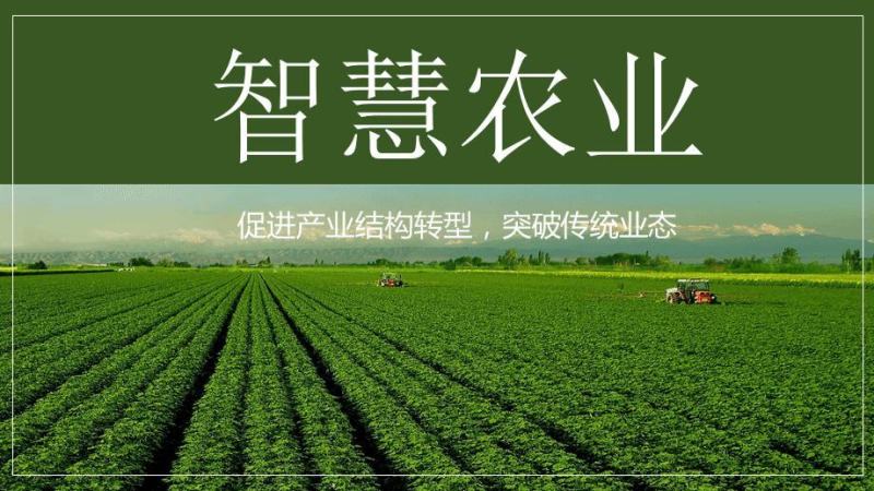 玉米苗后安全性除草剂25%硝磺草酮24%烟嘧-莠去津。