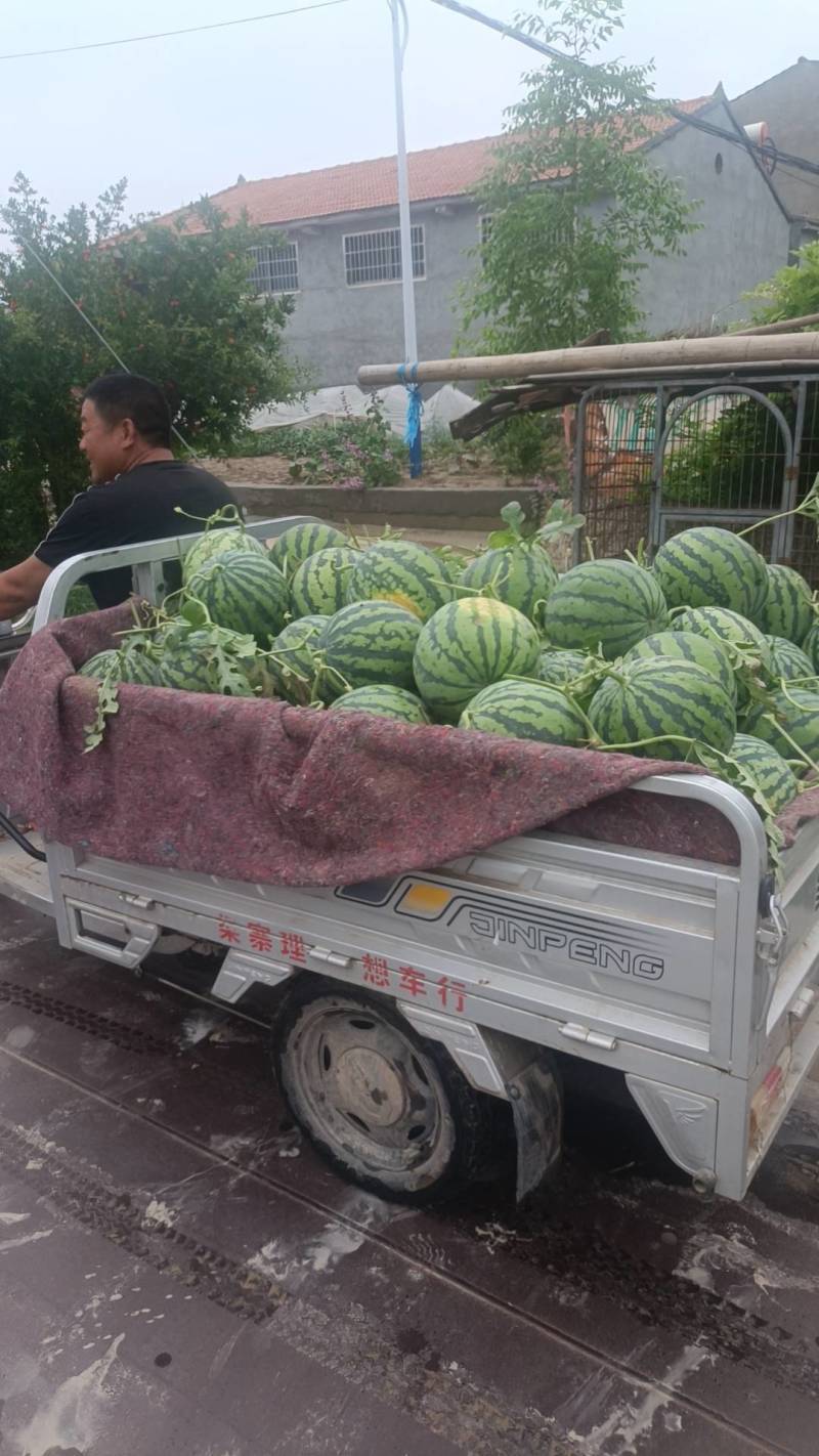 精选开封美都，货量充足，量大从优，欢迎新老客户咨询