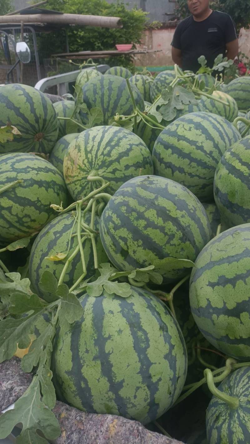 精选开封美都，货量充足，量大从优，欢迎新老客户咨询
