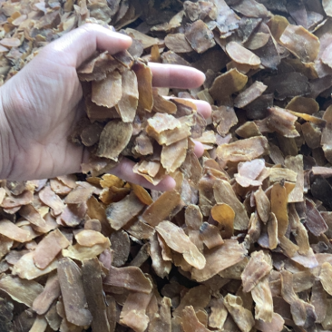 红参红参片货好干净，走量100可小包装，或打粉药材