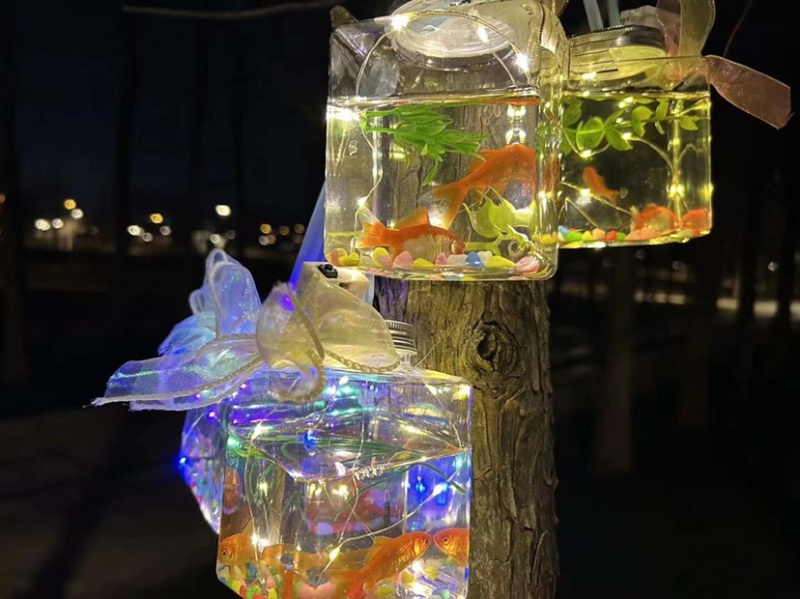 七彩罐罐鱼