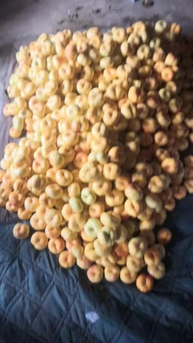 油桃