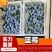 山东蓝莓基地盛产各品种蓝莓基地一手货源品质规格齐全