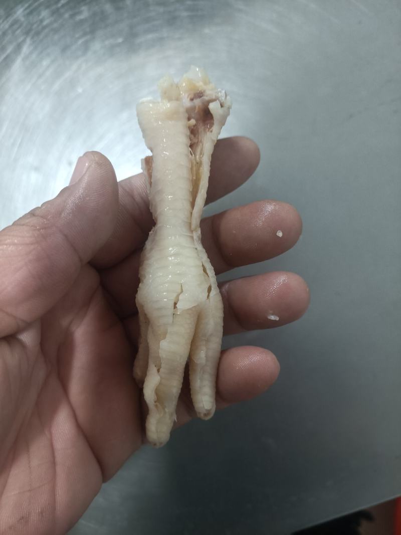 新鲜无骨鸡爪去骨鸡爪货源充足厂家直供饭店卤菜店