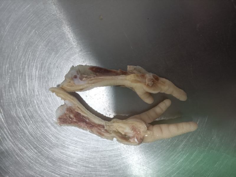 新鲜无骨鸡爪去骨鸡爪货源充足厂家直供饭店卤菜店