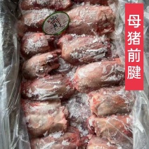 工厂直销，母猪腱子肉齐全，手续齐全，需要随时