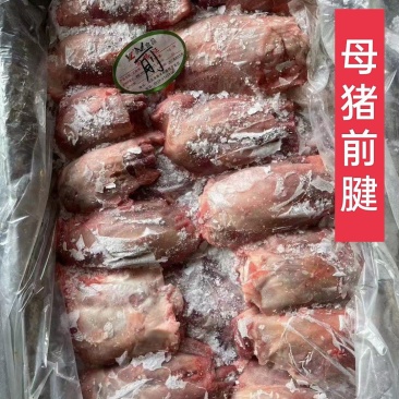 工厂直销，母猪腱子肉齐全，手续齐全，需要随时电话联系