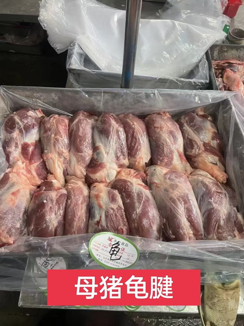 工厂直销，母猪腱子肉齐全，手续齐全，需要随时电话联系
