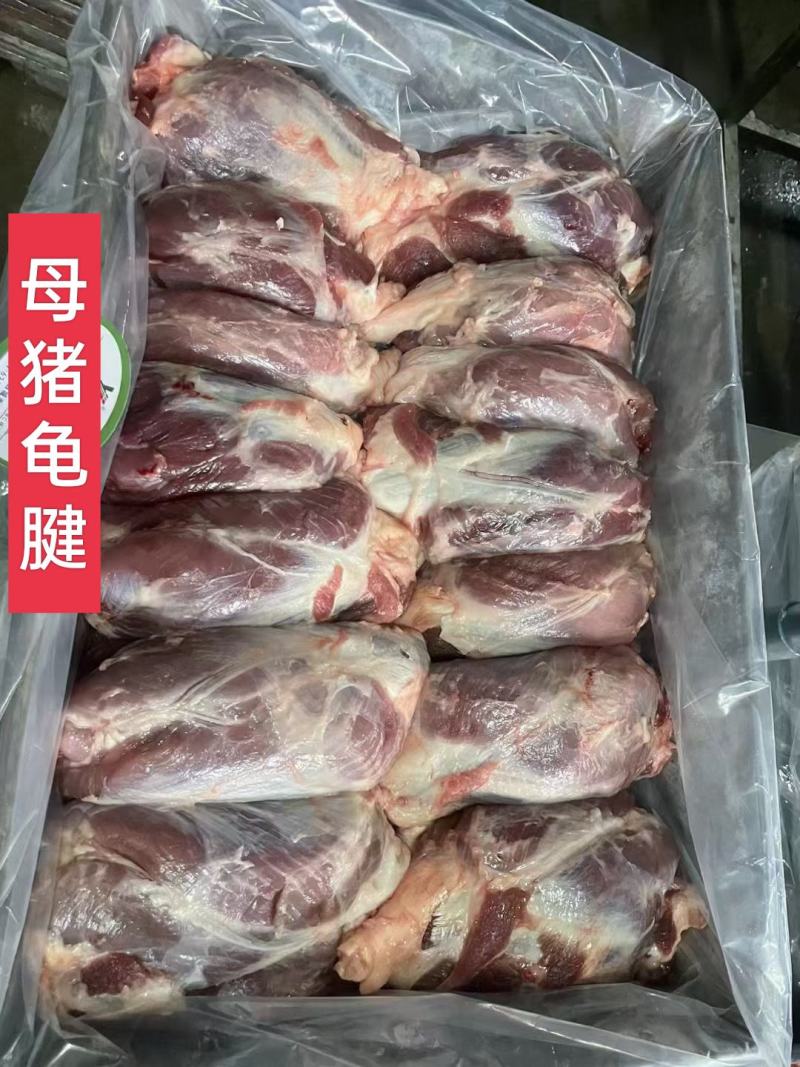 工厂直销，母猪腱子肉齐全，手续齐全，需要随时电话联系