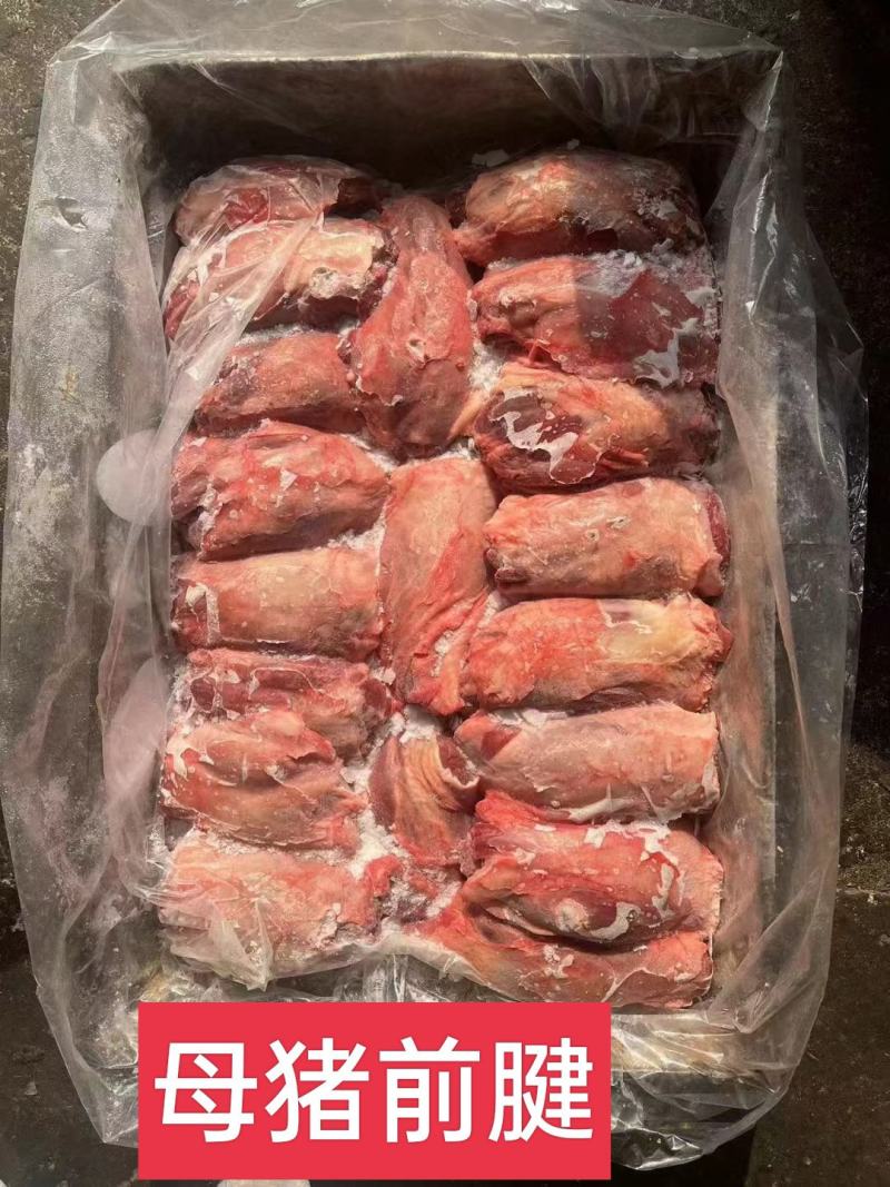 工厂直销，母猪腱子肉齐全，手续齐全，需要随时电话联系